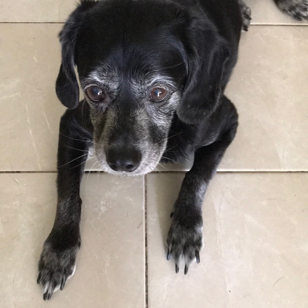 Meet your Posher, Margarita